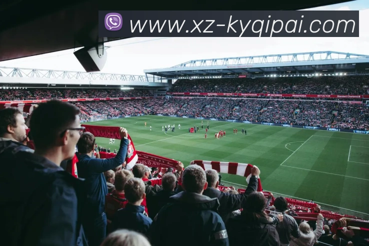 开云体育APP 封面图